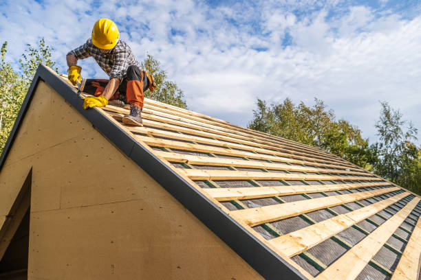 Best Roof Gutter Cleaning  in Silver Lake, OH